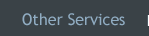 Other Services